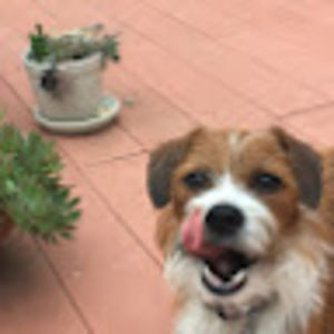 Meet your Posher, Anne